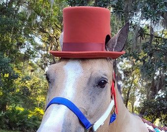 Cinnamon Top Hat for Horses - Extra Tall Equine Coachman Costume - Wedding Horse