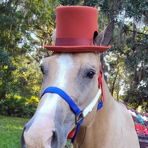Top Hat for Horses in White Black Sky 