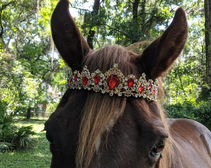 Ruby or Sapphire Rhinestone Crown Tiara Browband for Horses Etsy