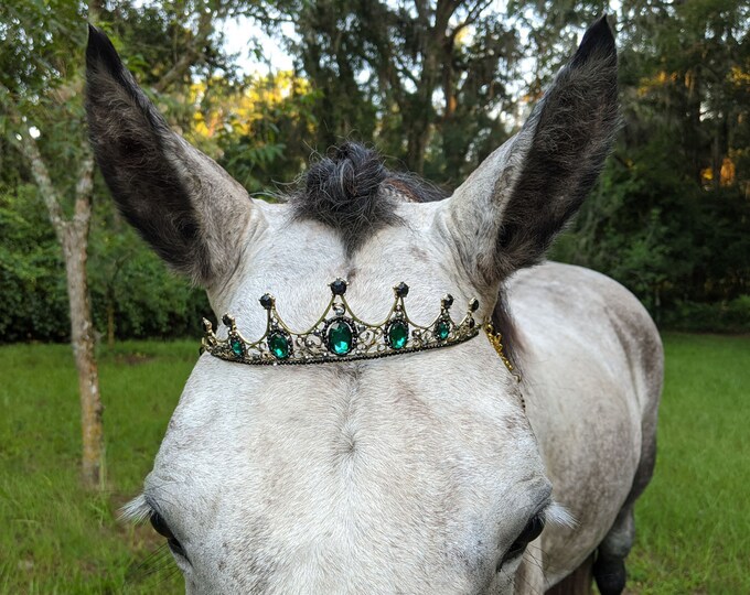 Wicked Green and Black Crown Tiara Browband for Horses Equine Tack
