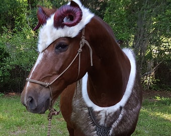 Warrior Prince Horse Costume - Demon Satyr Equine Costume - Barbarian King Horse Costume - Celtic Warrior Horse