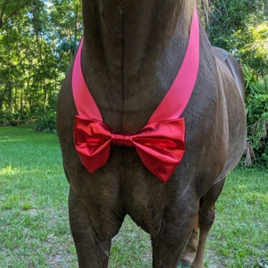 Large Red Bow Tie for any size equine - Formal Attire for Horses - Holiday Equine Bow Tie