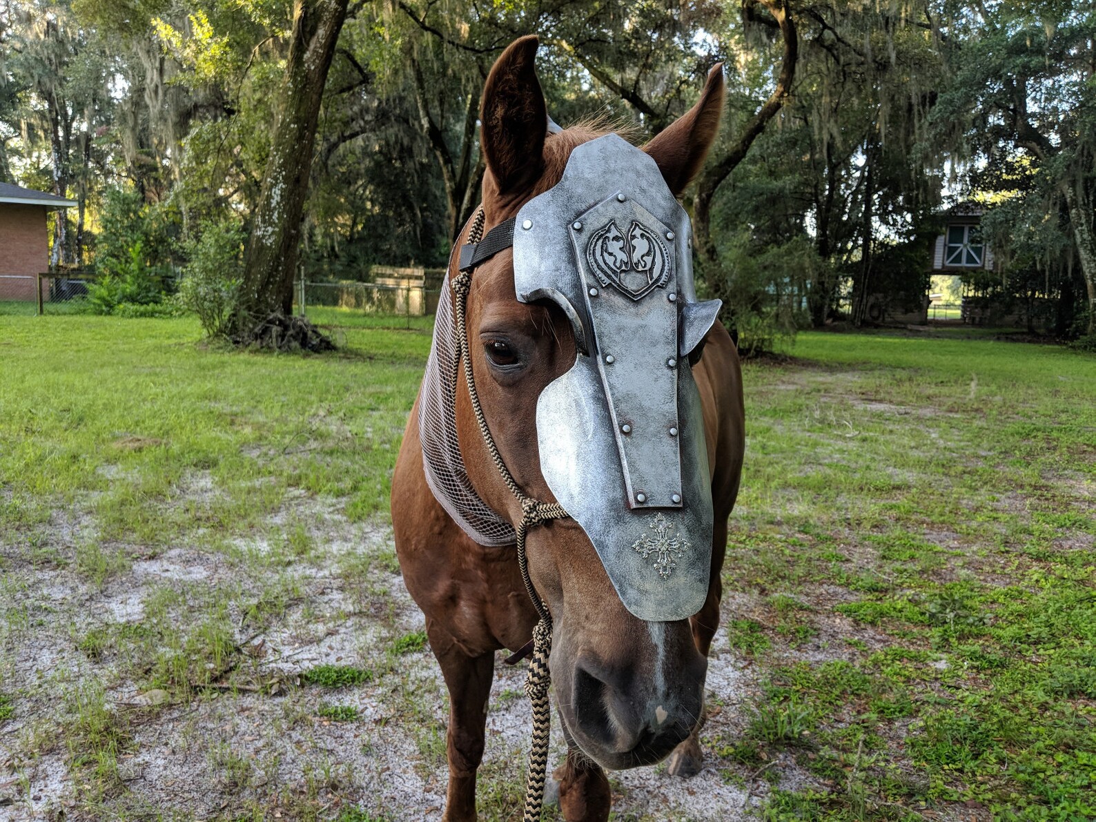 Coburg Chanfron Horse Face Armor in Aged Silver with Eye Etsy