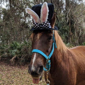 White Rabbit Top Hat for Any size equine - Soft Horse Easter Hat - Fun Black Top Hat for Full-Sized Equines