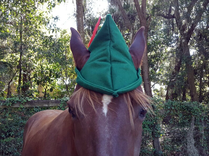 Peter Pan Robin Hood Elf Cap for Horses Fun Cloth Hat for Etsy