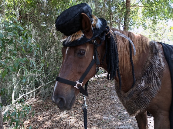 Disfraz de Caballo Brujo Traje de Fantasía para Equinos para Halloween  Disfraz para Caballos, Disfraz de Equino -  México