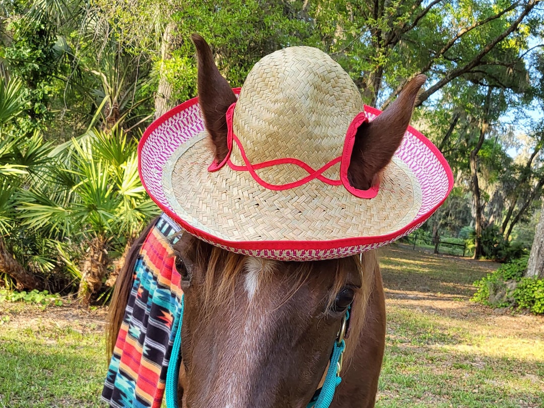 Mexican Sombrero for Riding Horse Cinco De Mayo Equine Costume Equine Straw  Hat 