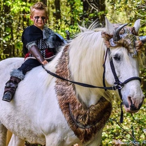 Viking Warrior Horse Costume - Celtic Equine Costume - 5 colors of faux fur - costume for horse