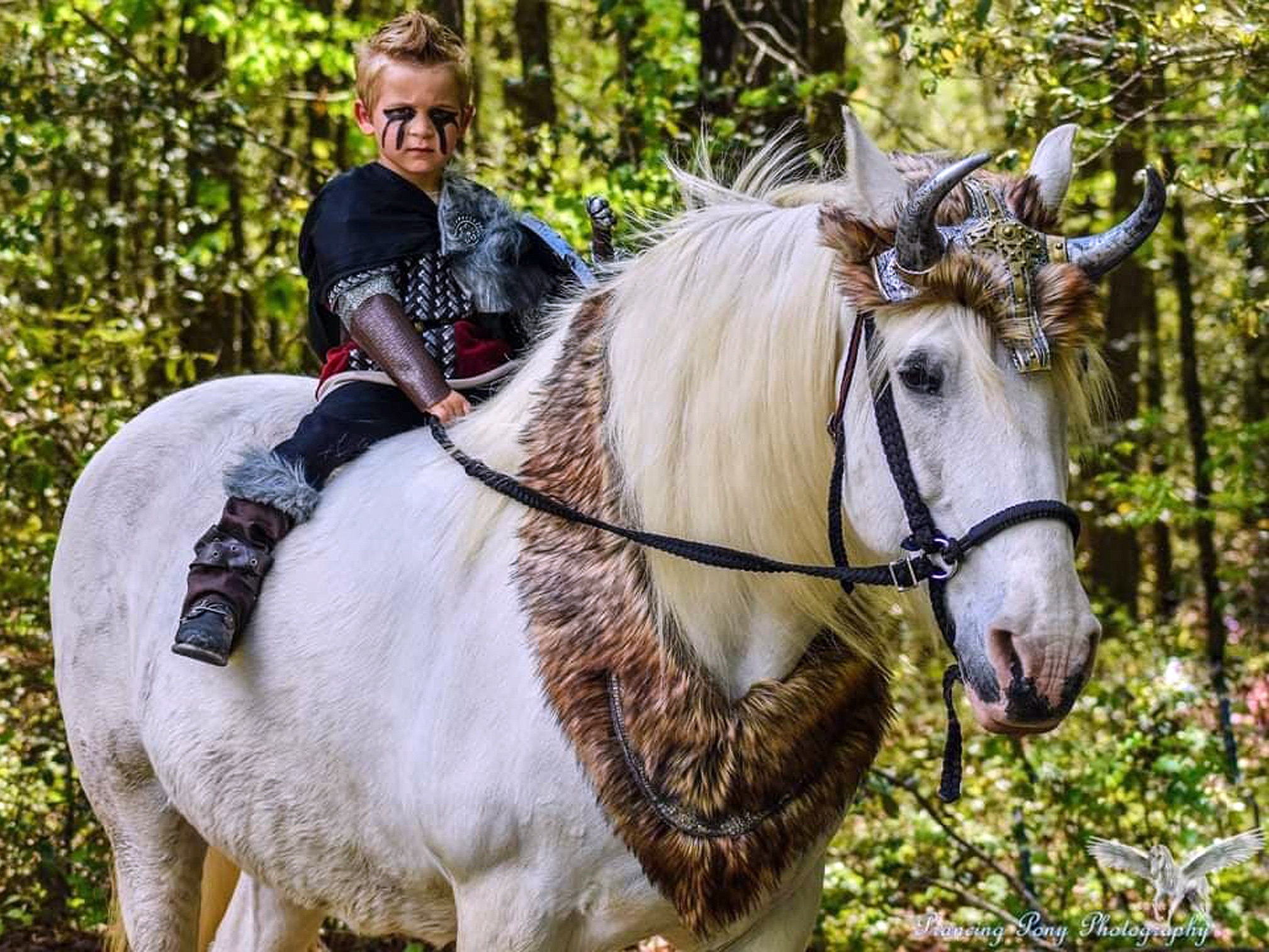 Disfraz de Caballo Brujo Traje de Fantasía para Equinos para Halloween  Disfraz para Caballos, Disfraz de Equino -  México