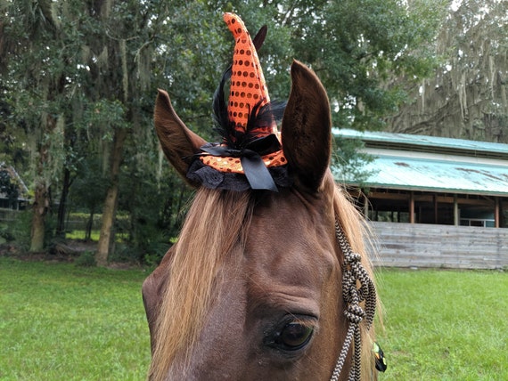 Clearance: Witch Equine Fascinator in 3 