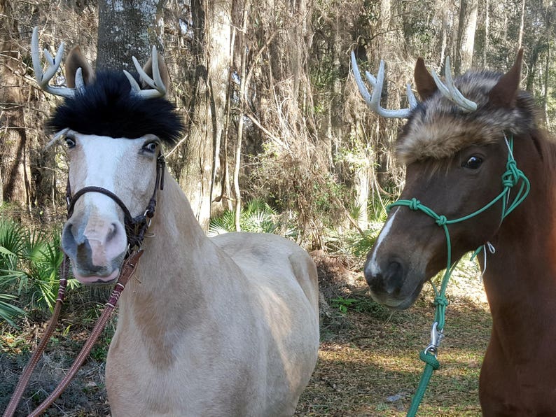 Deer Antlers for Horses With Brown Faux Fur Hat Costume for Etsy