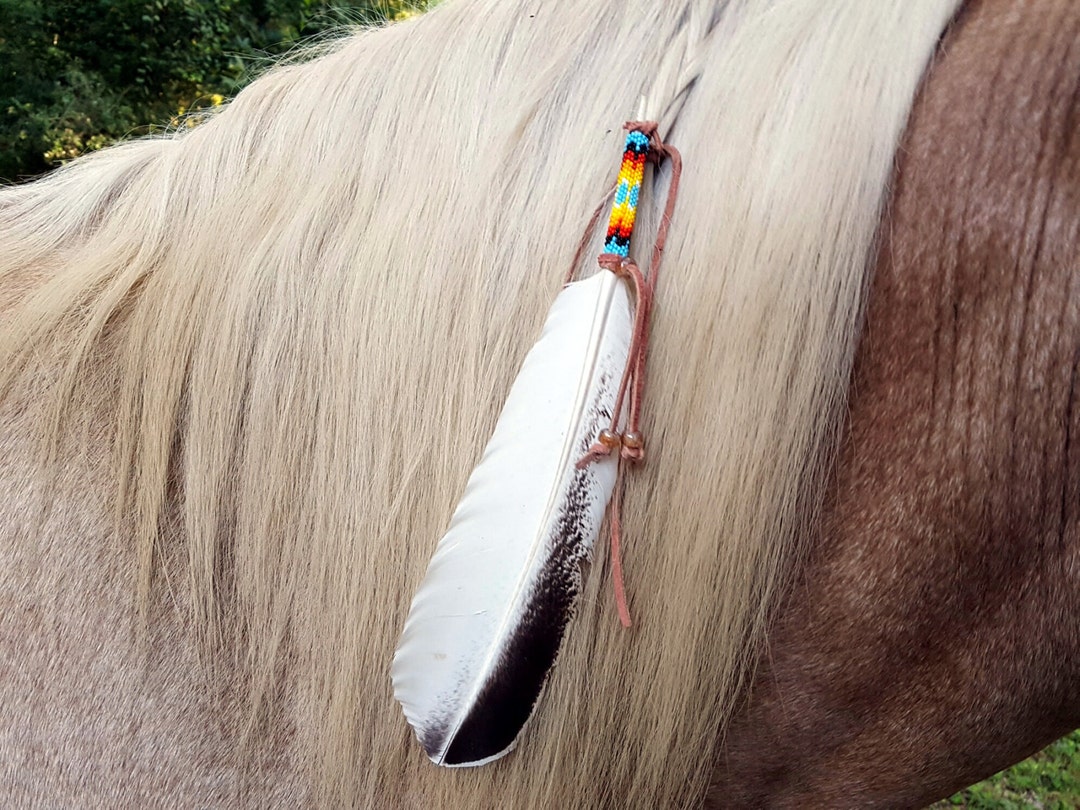 Colorful Beaded Turkey Feather Equine Mane Tail or Hair Etsy