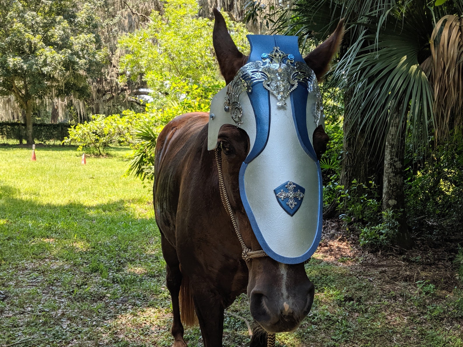 Crusader Horse Chanfron Face Armor Medieval Equine Armor Etsy