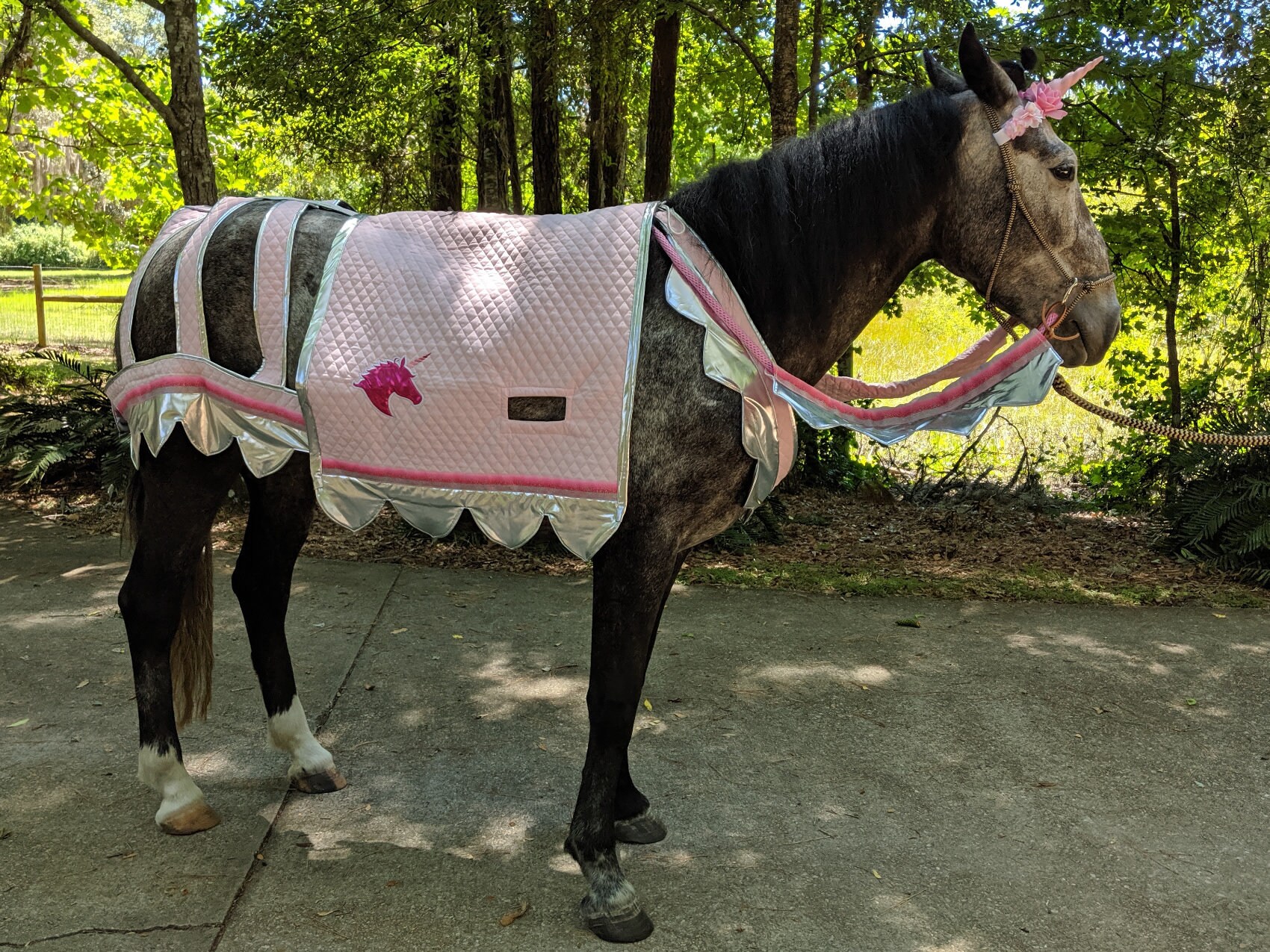 Pink Unicorn Destrier Horse Costume Medieval Barding Costume Etsy