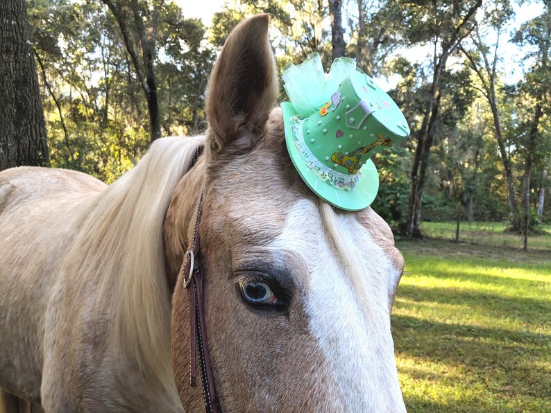 Gender Reveal Mini Top Hat Fascinator for Horses Equine Etsy