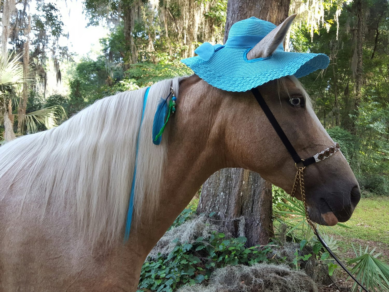Turquoise Derby Hat for Horses Sun Hat for Horse Horse Etsy