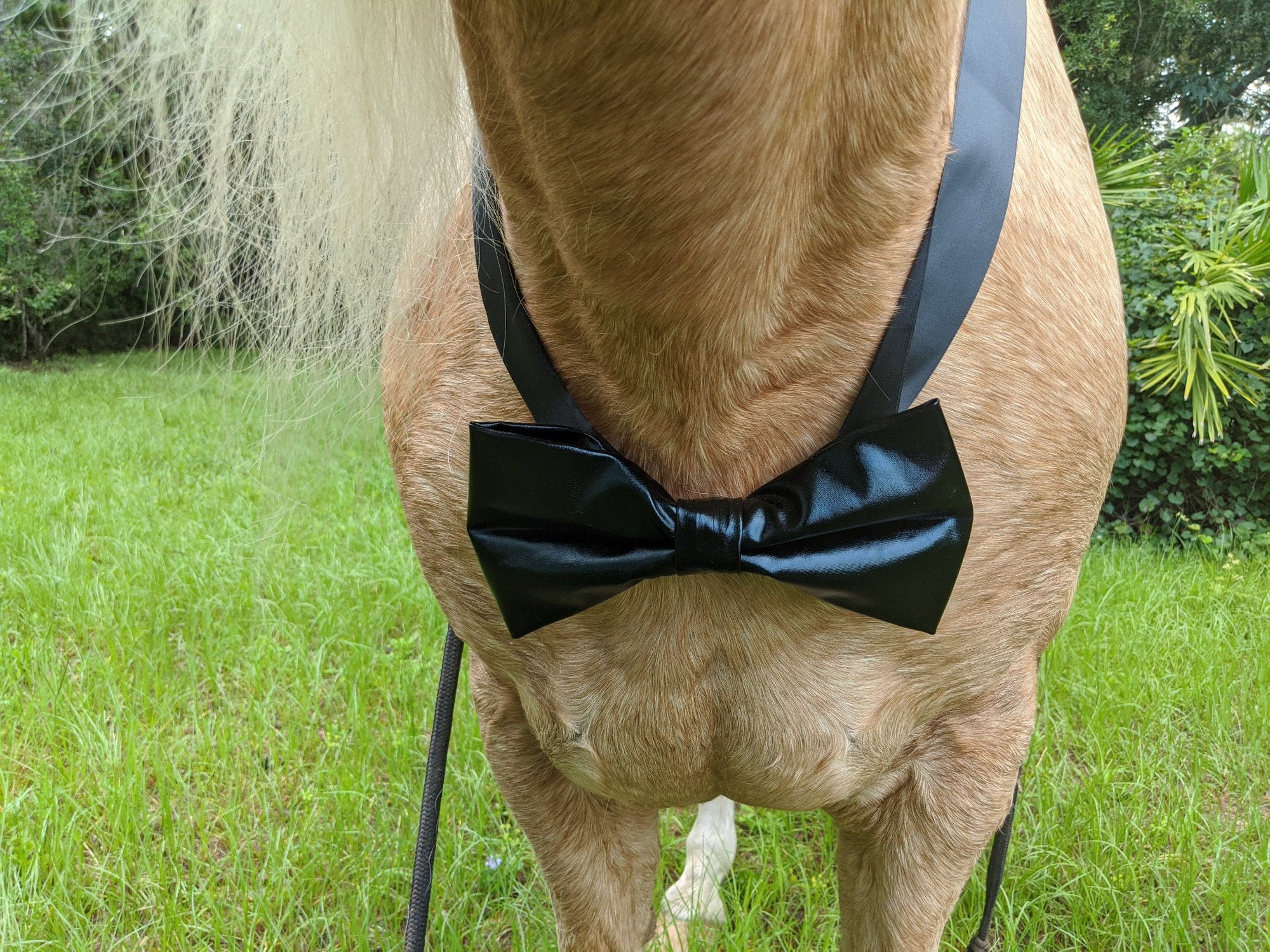 Bow ties with animals on them deals