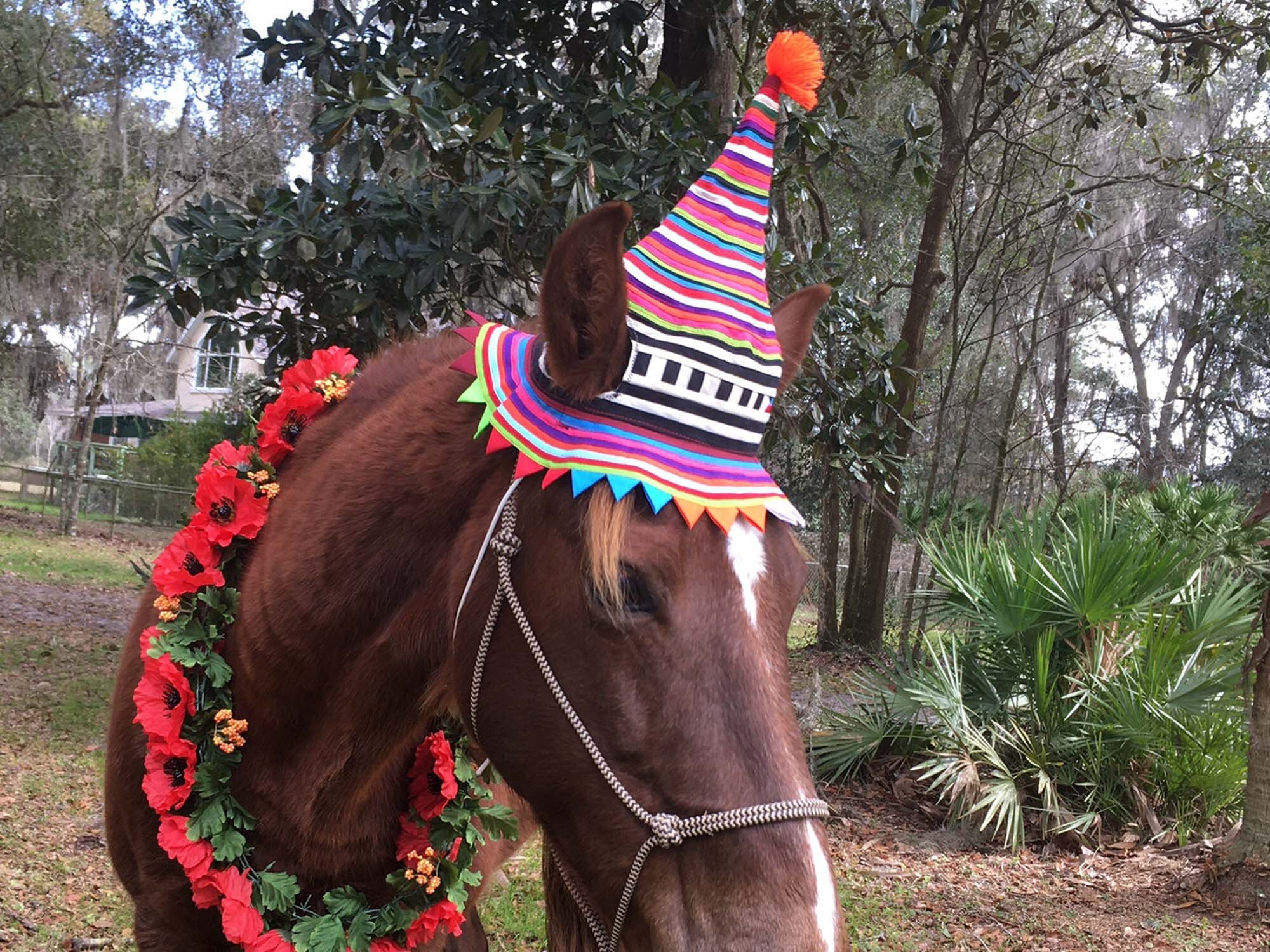 Thai Traditional Hat Equine Elf Hat 