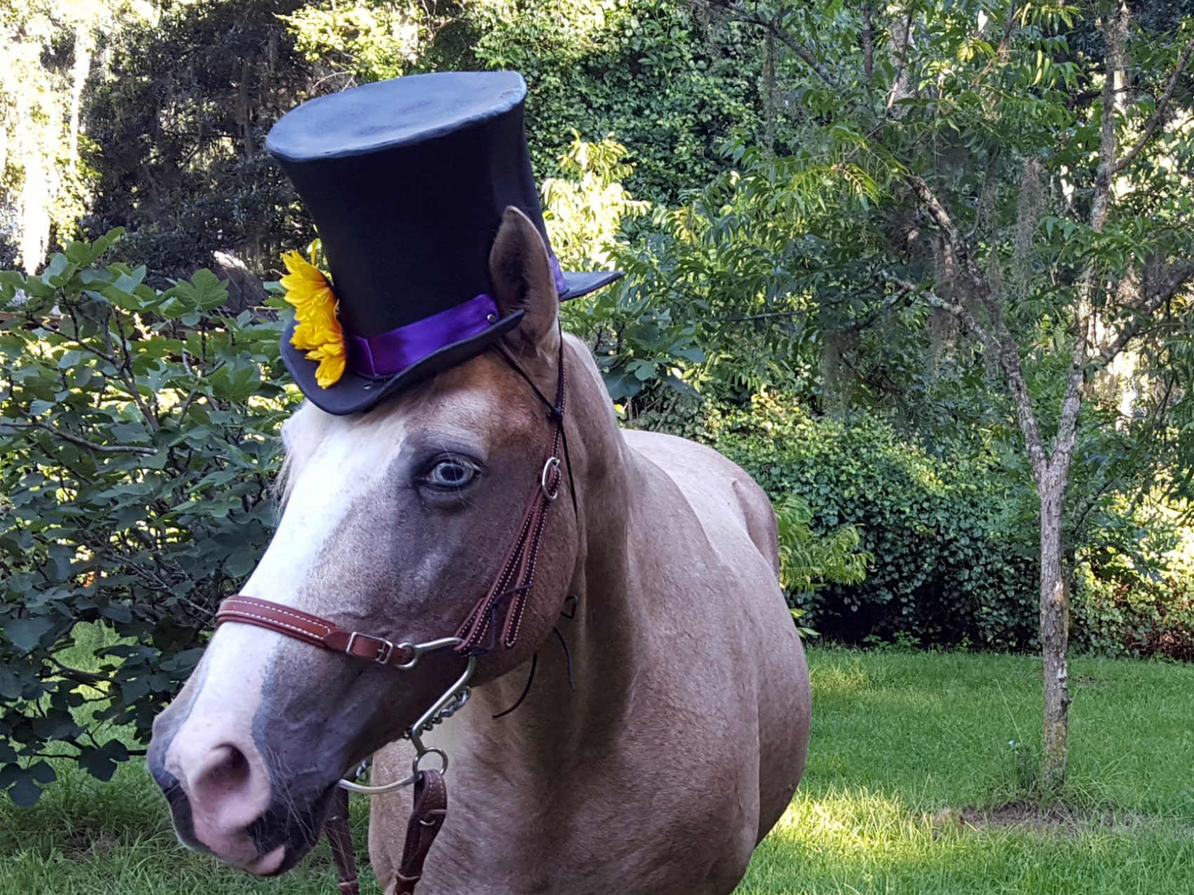 Horses Foam Equine Formal Hat 