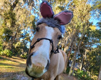 My Bunny Hat for Any Size Equine in gray or white  - Soft Equine Rabbit Ears Hat - Fun Horse Costume