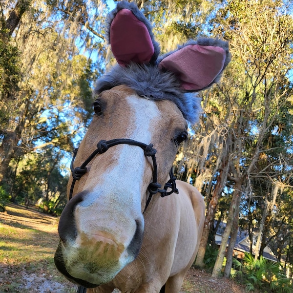 My Bunny Hat for Any Size Equine in gray or white  - Soft Equine Rabbit Ears Hat - Fun Horse Costume