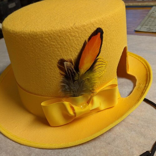 Top Hat for Horses in White Black Sky 
