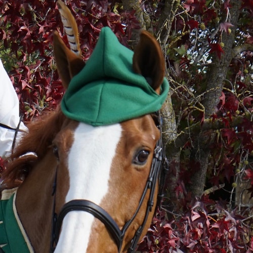Robin Hood Elf Cap for Horses Fun Cloth 