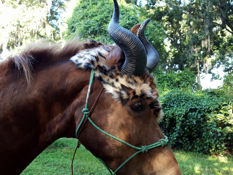 Antelope Horse Horns Addax Horns for Horse or Pony with Faux Etsy