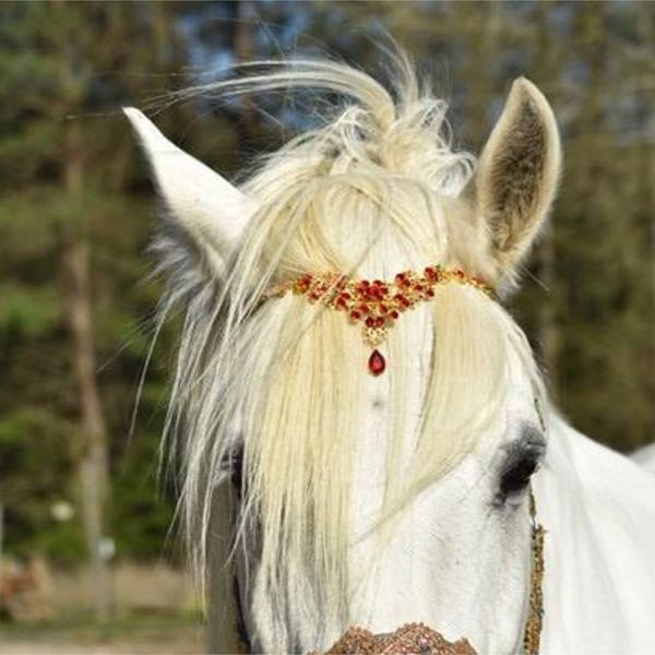 Red Rhinestones and Gold Browband for Pony, Horse or Draft - Equine Bling Tack Jewelry