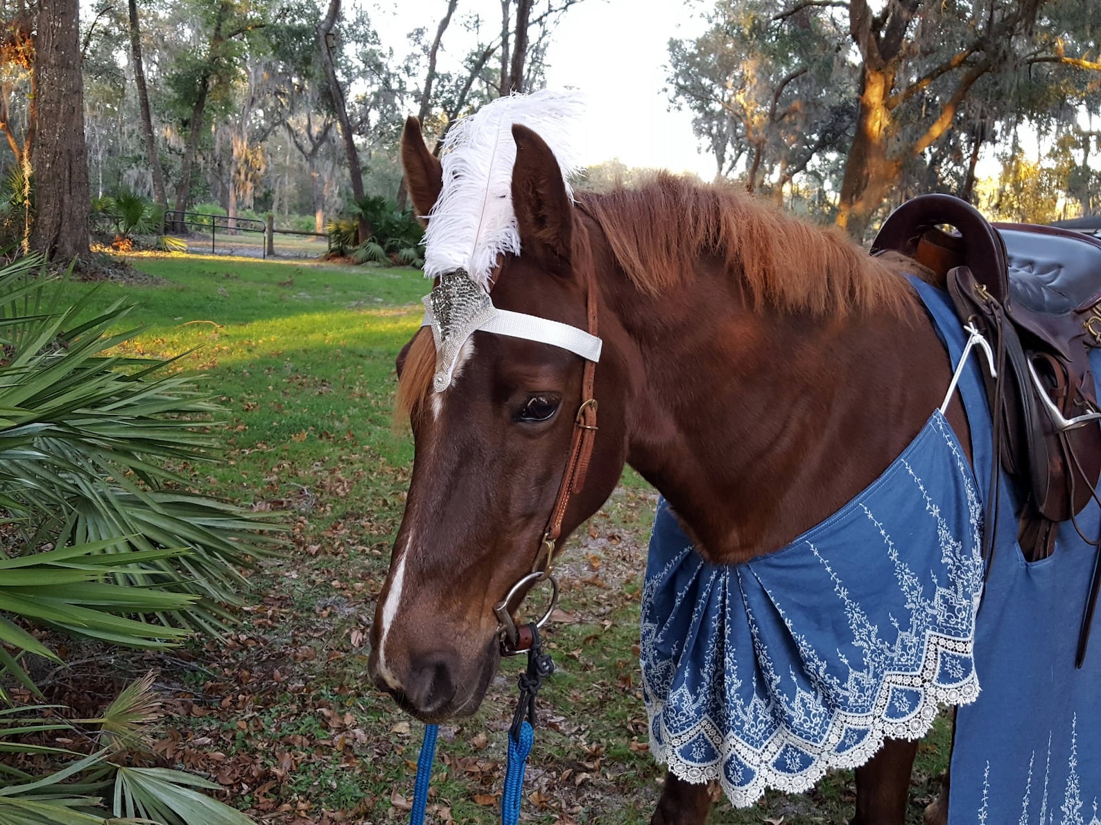 Kings Messenger Horse Costume Medieval Barding Costume Etsy