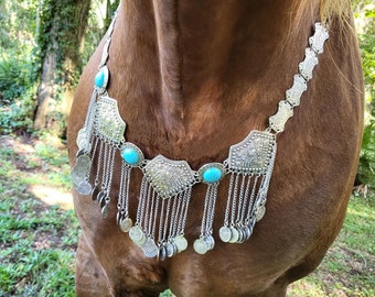 Musical Shields Equine Necklace - Necklace for Ponies and Horses - Jewelry for Arabian or Medieval Horse