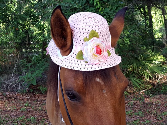 horse hat