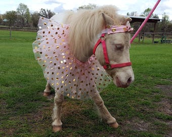 Gold Circles Tulle Costume for Minis or Ponies - Equine Tutu Costume in 4 Colors - Ballerina Decoration for Miniature Horse