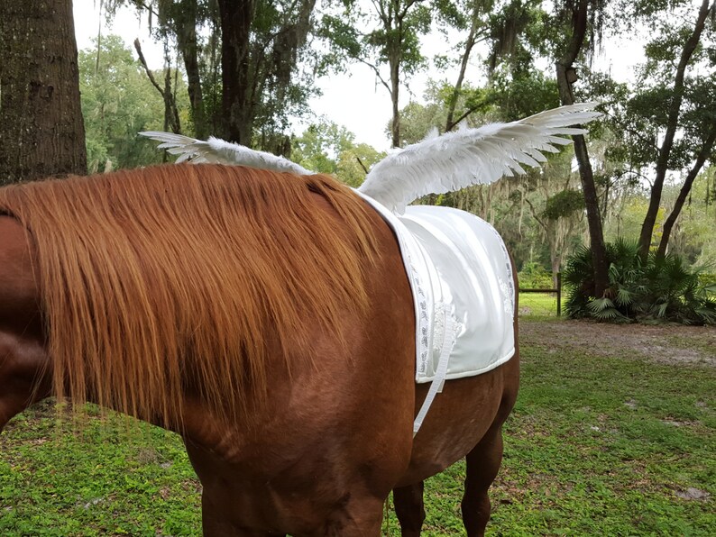 White Horse Wings Feathered Wings for Horse Pony or Etsy