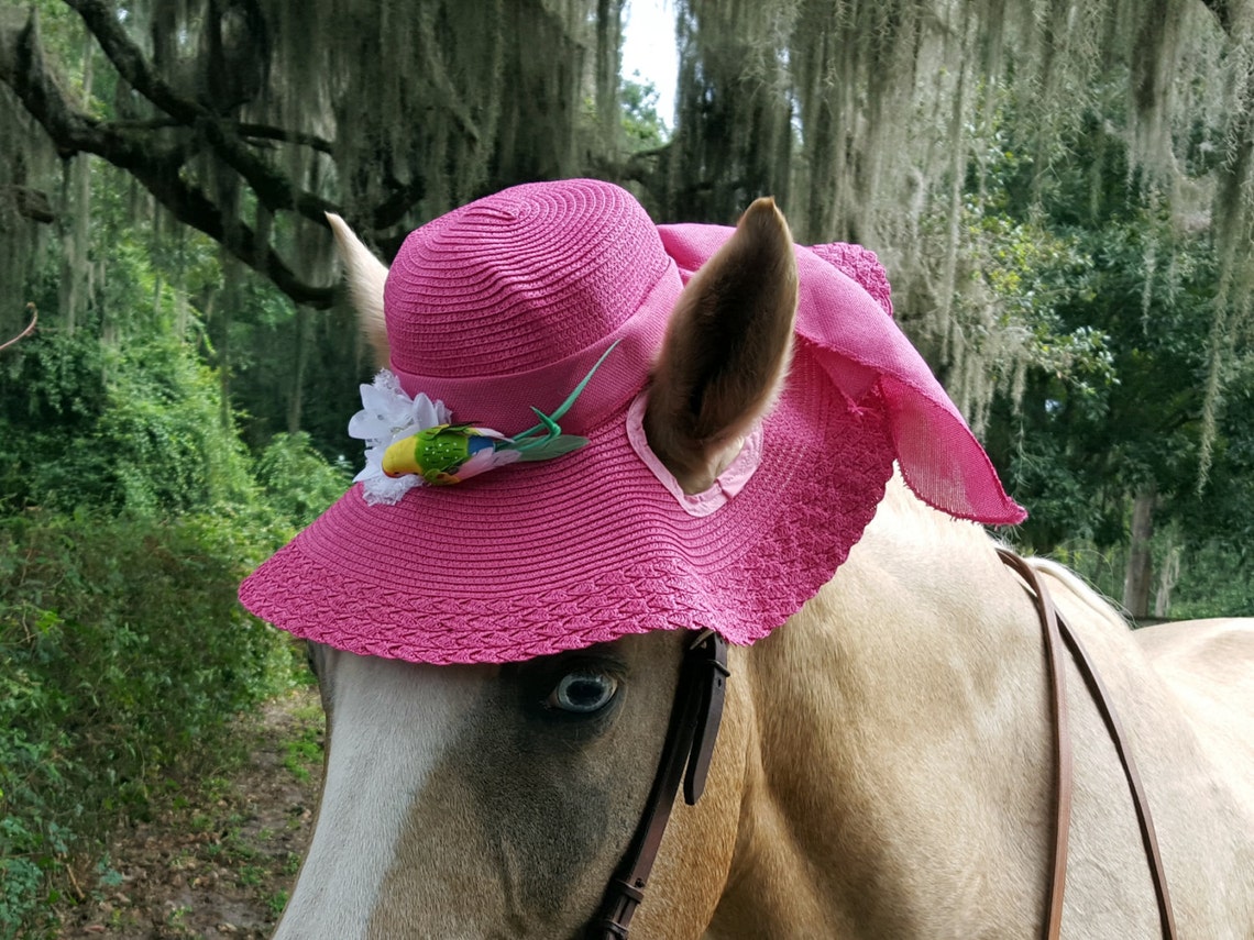 Sun Hats for Horses in several colors Kentucky Derby Horse Etsy