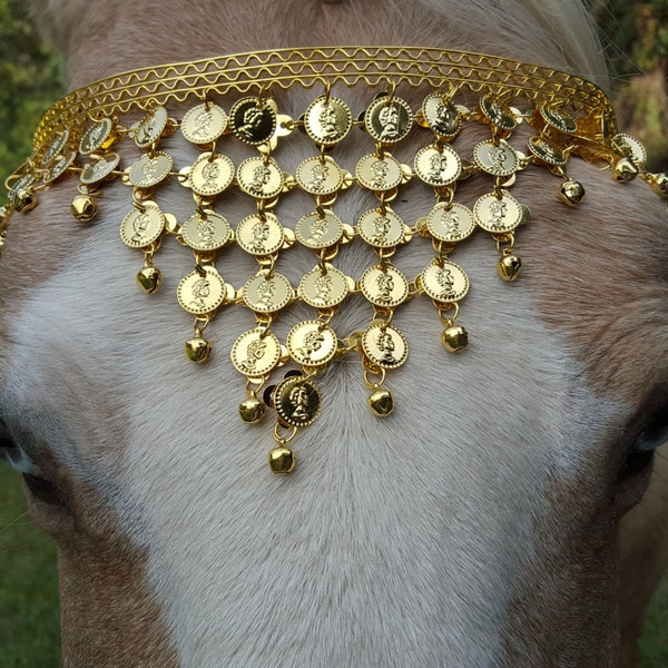 Coins Browband for Horse or Draft in Gold or Silver - Equine Bling Tack Jewelry - for Steampunk, Egyptian Dancer, Goth, Pirate Costumes