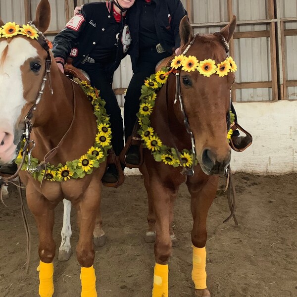 Sunflowers Equine Necklace - Yellow and Brown Horse Breast Collar - Horse Necklace - Fall Horse Costume, Equine Costume