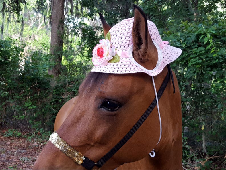 Pink Camelia Hat for Small Horse Pony 