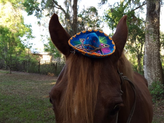 Mini Mariachi Sombrero mexicain pour 