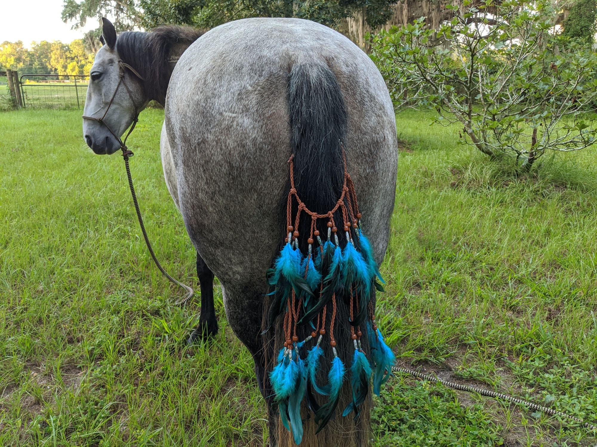 Punky Bags - Custom Equine Mane and Tail bags
