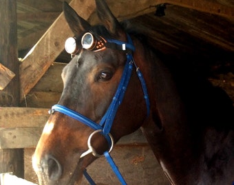 Steampunk Goggles Sunglasses Browband for Horse or Pony - Equine Tack Cyber Punk Gothic