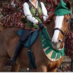 Elf or Robin Hood Costume for Horses, Drafts, Minis, Ponies - Green Equine Costume