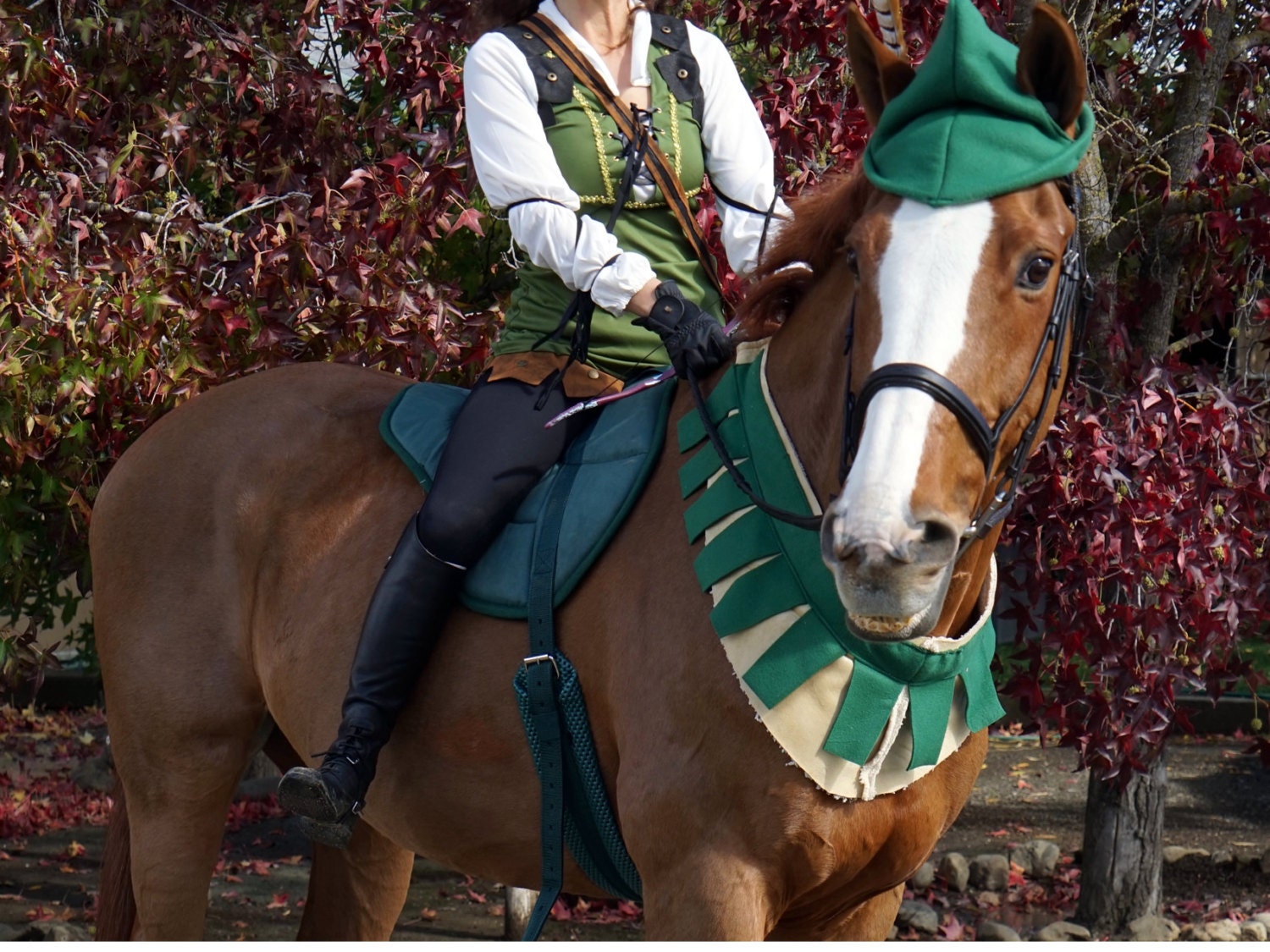 Robin hood de natal  Robin hood, Horse armor, Robin