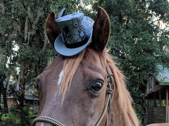 Horses Equine Victorian Mare Hat 