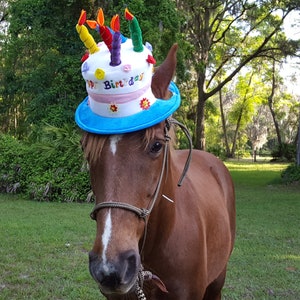 Birthday Hat for Horse or Pony with Candles -- Soft Equine Birthday Hat - Fun Horse Costume