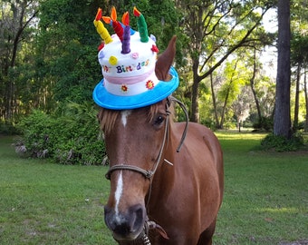 Birthday Hat for Horse or Pony with Candles -- Soft Equine Birthday Hat - Fun Horse Costume