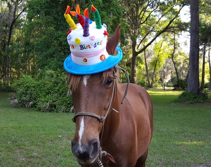 Birthday Hat for Horse or Pony With Candles Soft Equine Birthday Hat