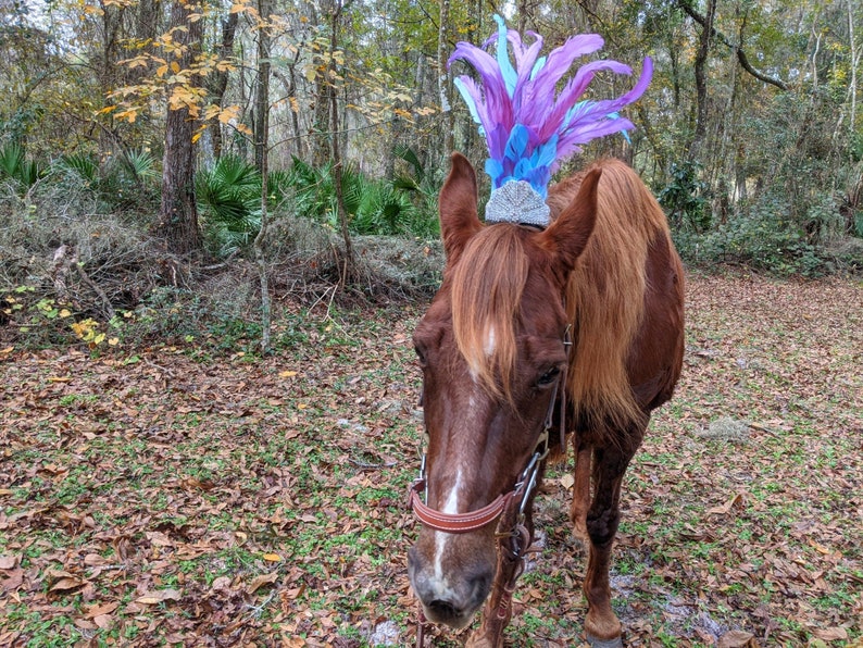 Blue and Purple Feather Plume for Horses Feathered Bridle Etsy