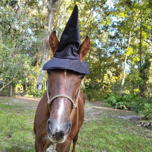 Clearance: The Simple Witch Hat for Horse or Pony - Equine Tack Hat for Halloween