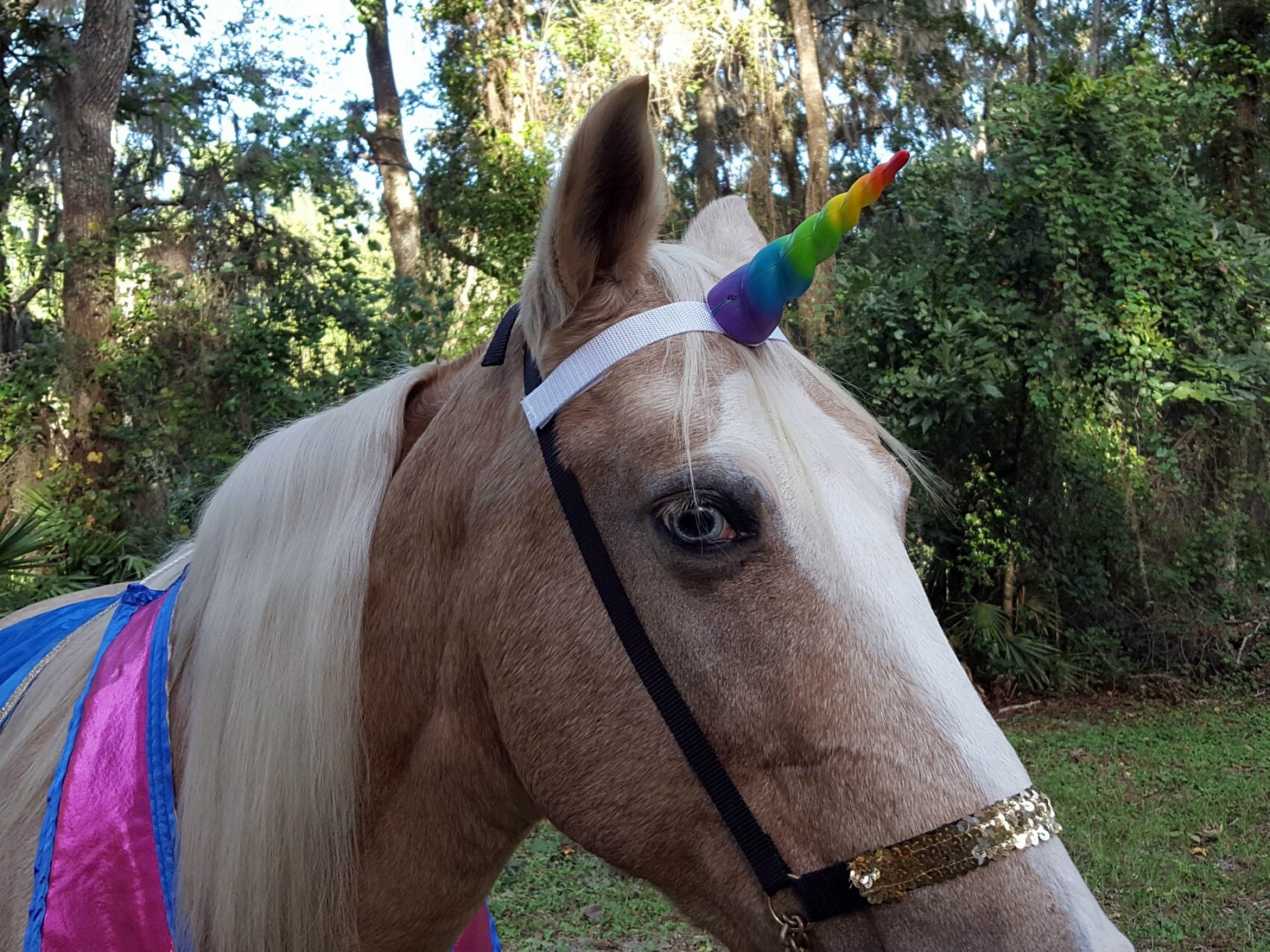 Rainbow Unicorn Horn Equine Browband Fantasy Horse Pony or Etsy